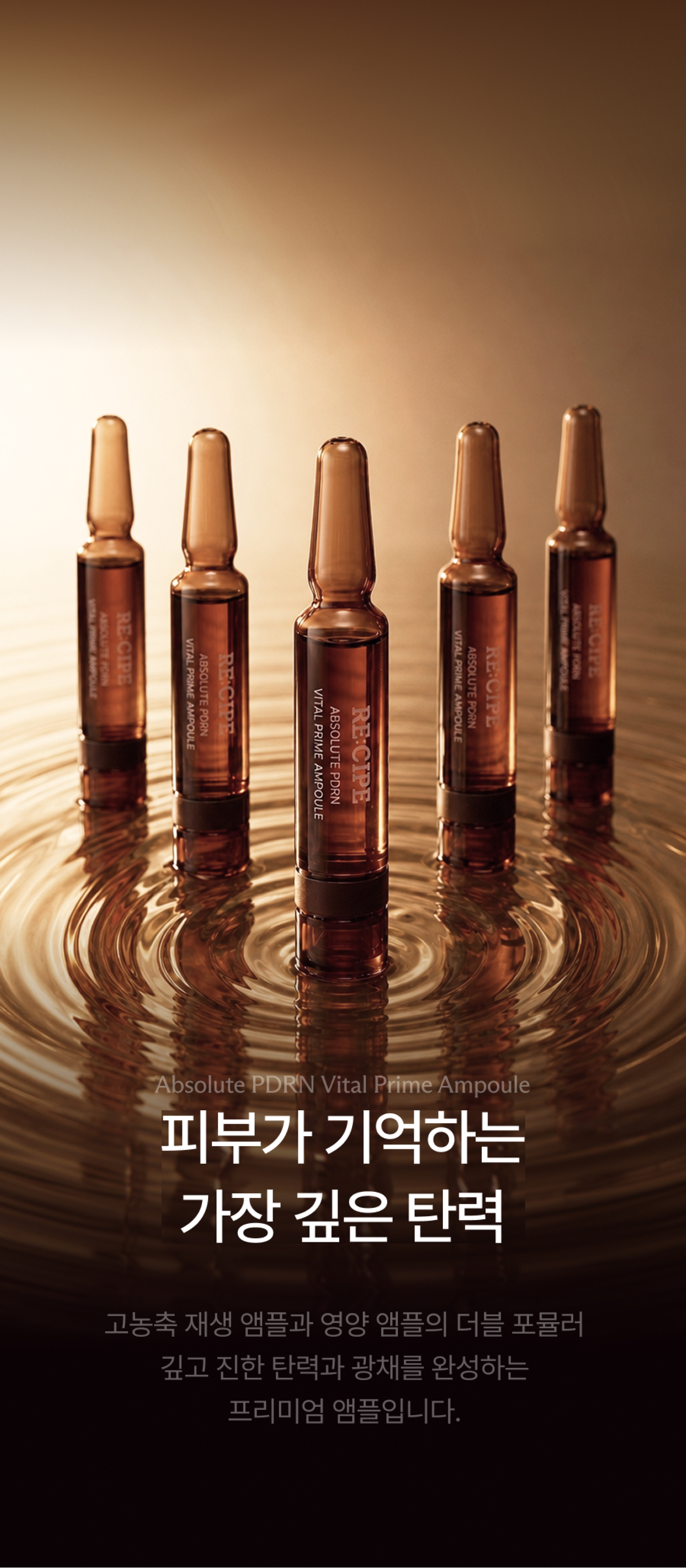 앱솔루트 피디알엔 바이탈 프라임 앰플