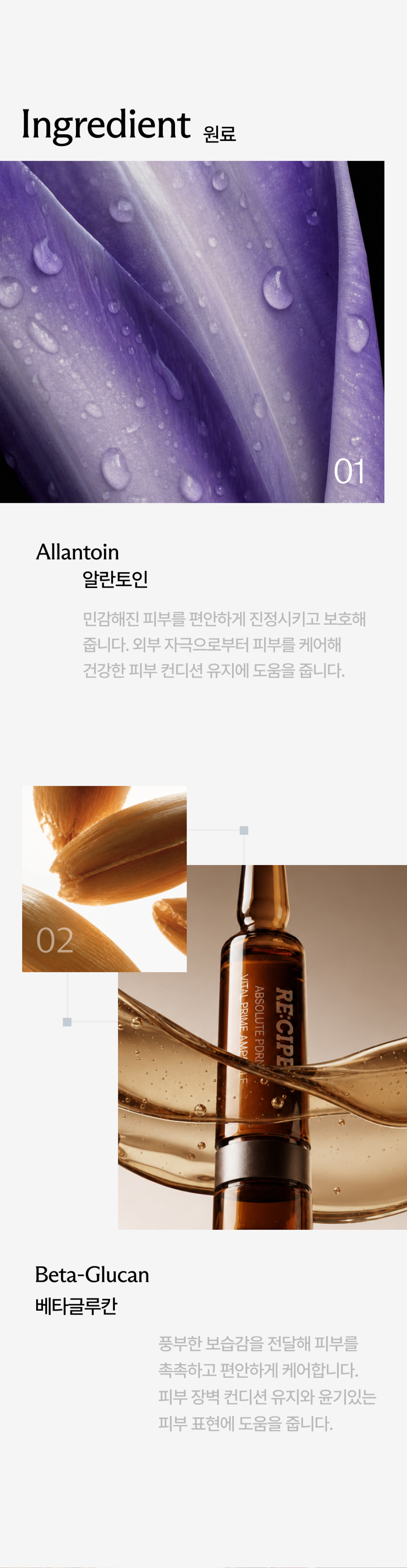 앱솔루트 피디알엔 바이탈 프라임 앰플